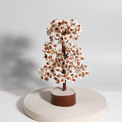 Rudraksha and Gomti Chakra Tree