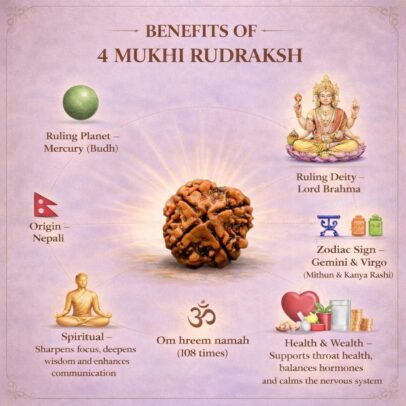 4 Mukhi Rudraksha